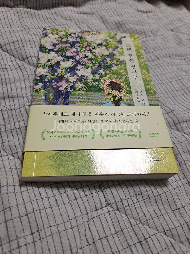 그해 푸른 벚나무 새책--0