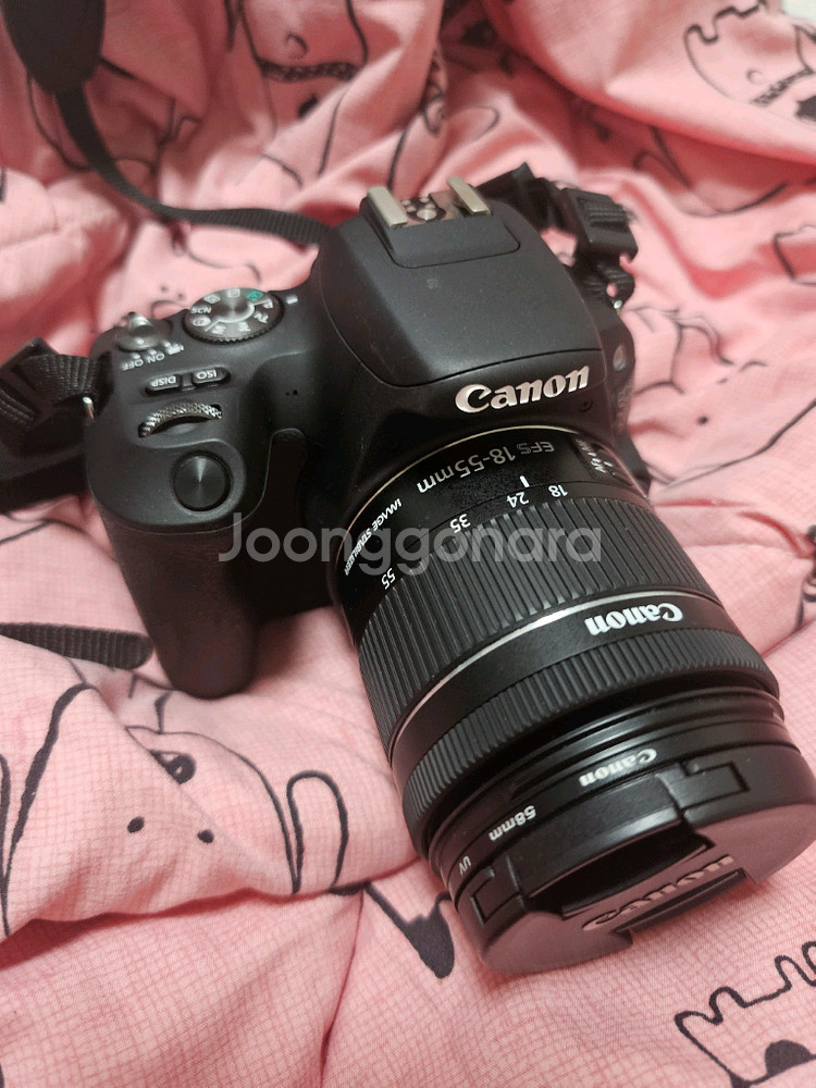 Canon EOS D200--0