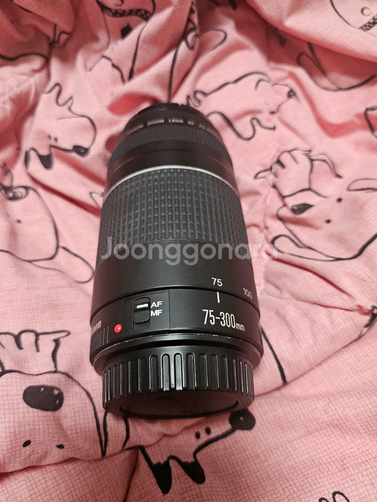 Canon EOS D200--1