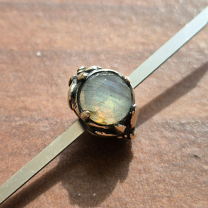 트롤비즈 에델바이스