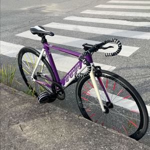 픽시 언노운 샤크 퍼플 팝니다