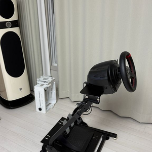 트러스트마스터 T300