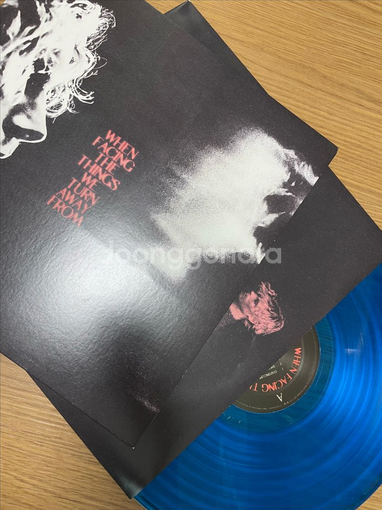 [한정컬러반]루크 헤밍스 1집 lp 판매합니다--1
