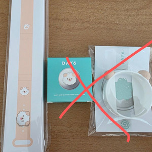 데이식스 굿즈 원가 양도