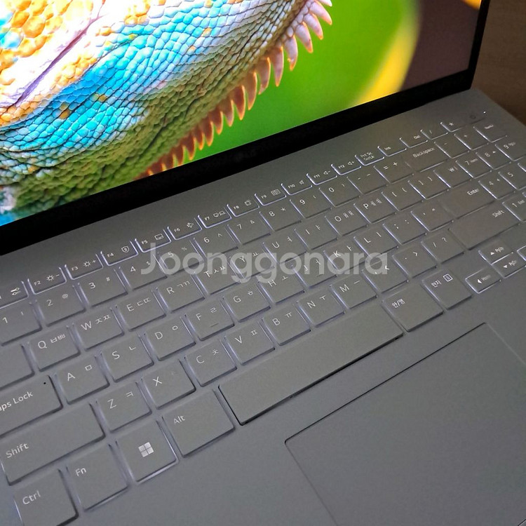 S급+베터리98% l 16GB+512GB l LG그램--2