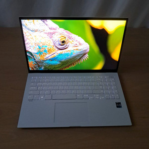 S급+베터리98% l 16GB+512GB l LG그램