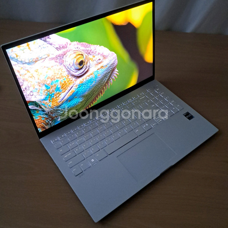 S급+베터리98% l 16GB+512GB l LG그램--1