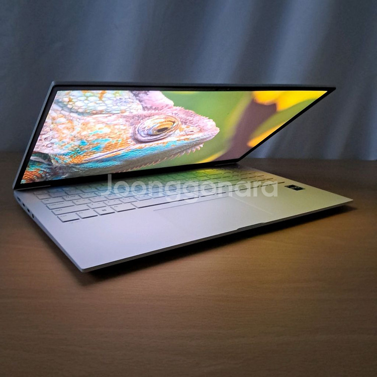 S급+베터리98% l 16GB+512GB l LG그램--3