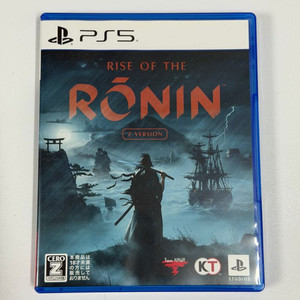 PS5 라이즈 오브 더 로닌 Z버전