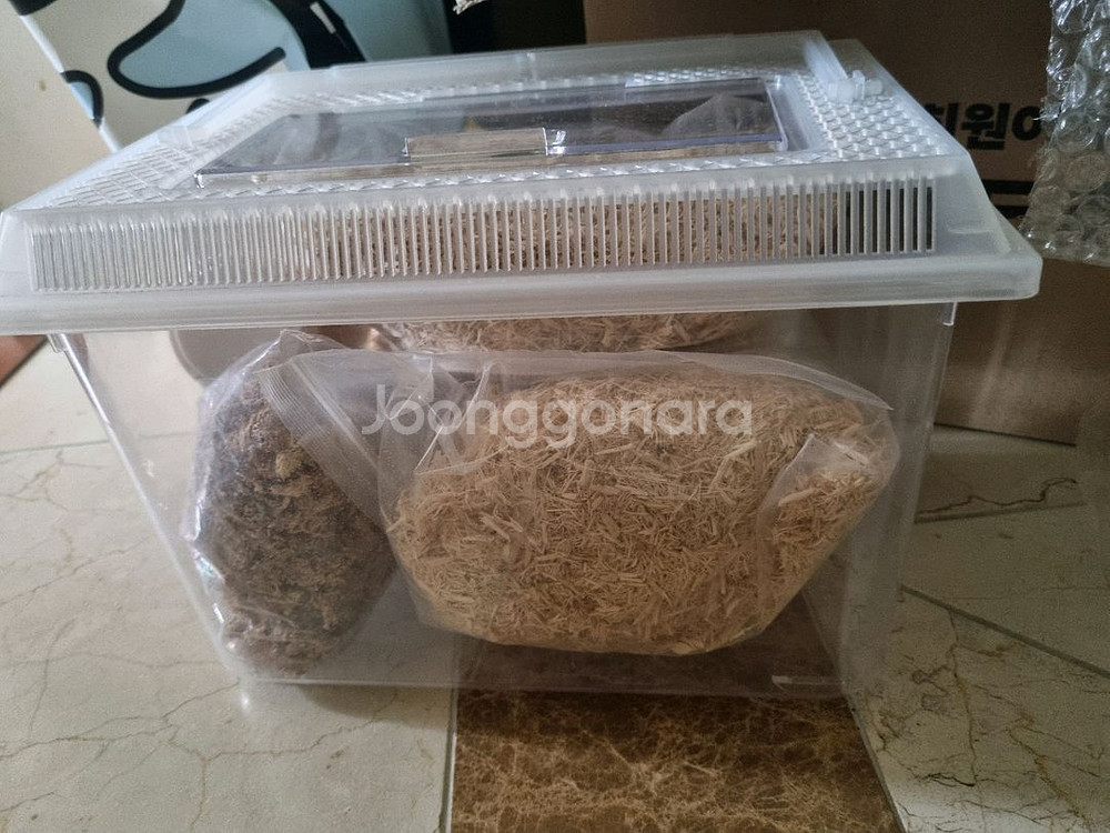 소라게 및 양서류 키우기 세트 용품 팔아요--0