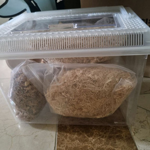 소라게 및 양서류 키우기 세트 용품 팔아요