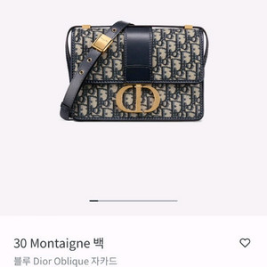 디올 30 몽테인 오블리크 숄더백