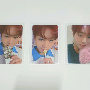 박지훈 디마뮤 미공포 세트 포토카드 포카 특전