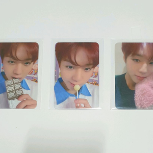 박지훈 디마뮤 미공포 세트 포토카드 포카 특전