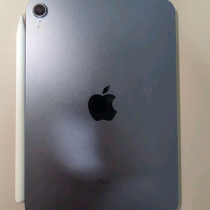 아이패드 미니6 애플케어 펜슬 일괄로 판매합니다.