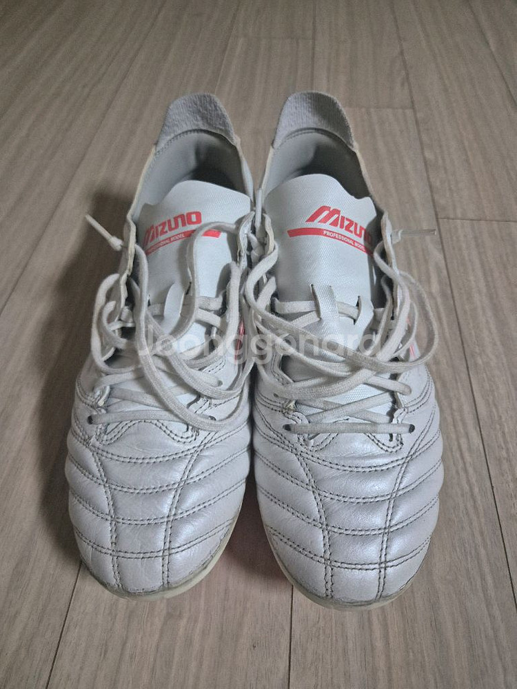 미즈노 모렐리아 네오 엘리트AG 255mm--0