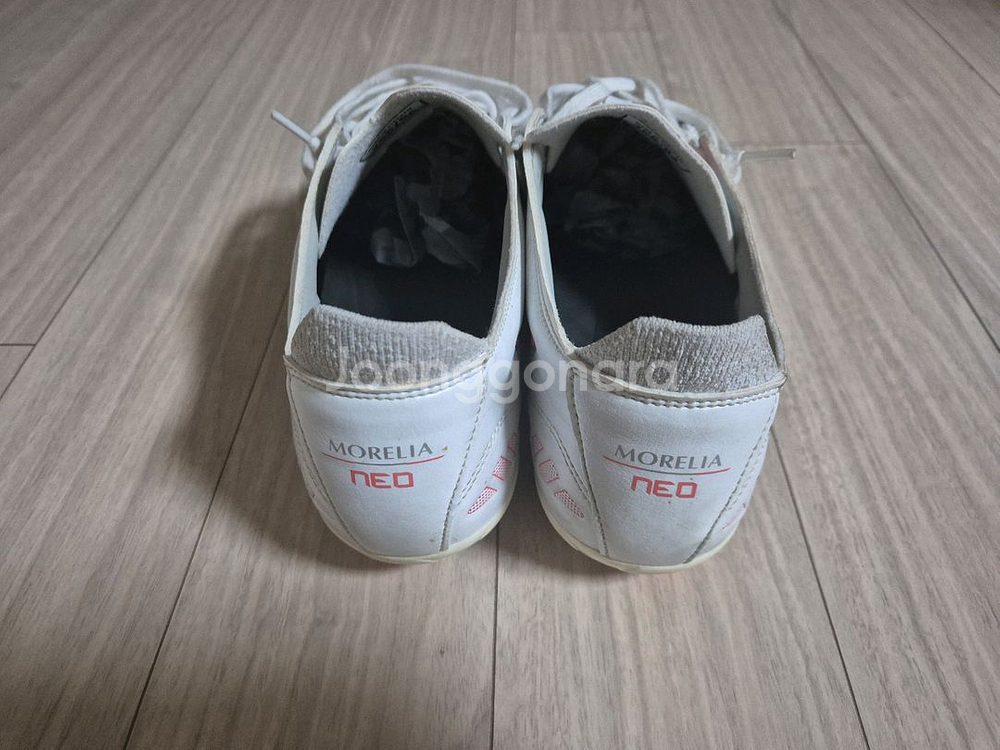 미즈노 모렐리아 네오 엘리트AG 255mm--1