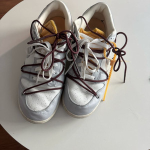 나이키 덩크로우 오프화이트 로트46 290