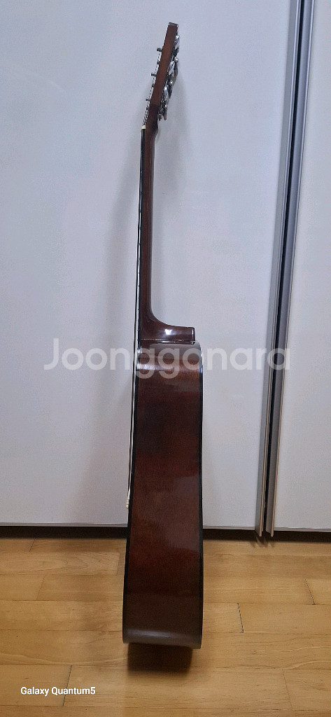 Segovia SJ-61 어쿠스틱 기타--2