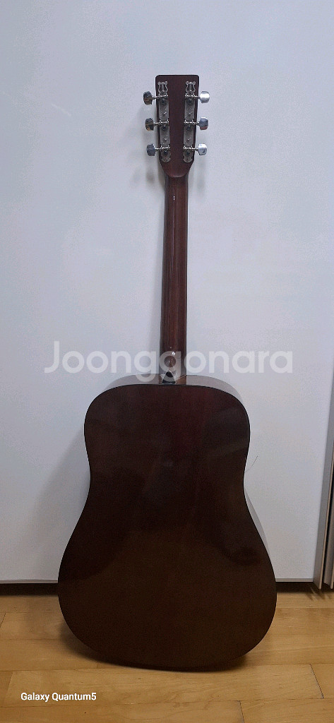 Segovia SJ-61 어쿠스틱 기타--1