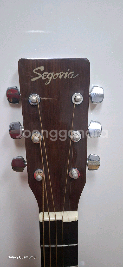 Segovia SJ-61 어쿠스틱 기타--6