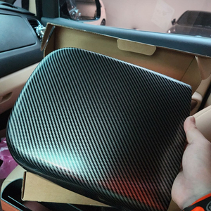 올뉴,더뉴 카니발 카본 커버 팝니다