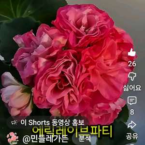 에릭레이브파티 중국제라늄