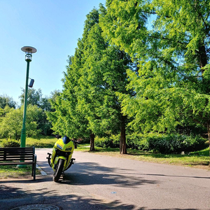 600rr 쇼바이크 판매합니다 220만 수원