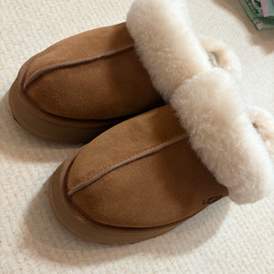 UGG 어그 디스케트 슬리퍼 250/(245 신는분)