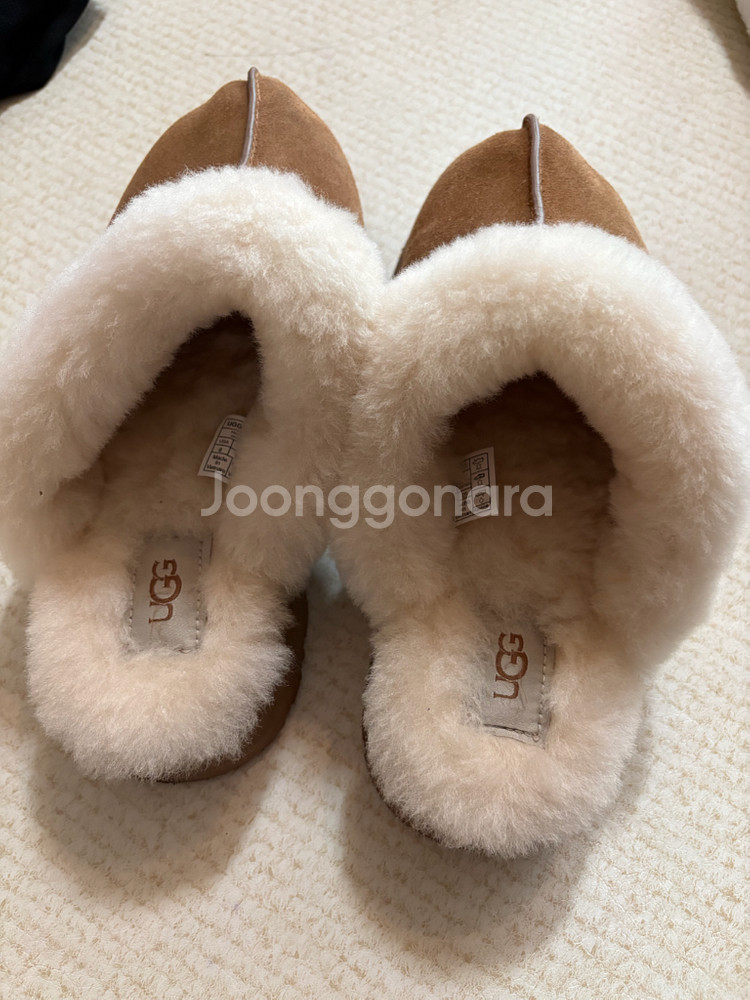 UGG 어그 디스케트 슬리퍼 250/(245 신는분)--1