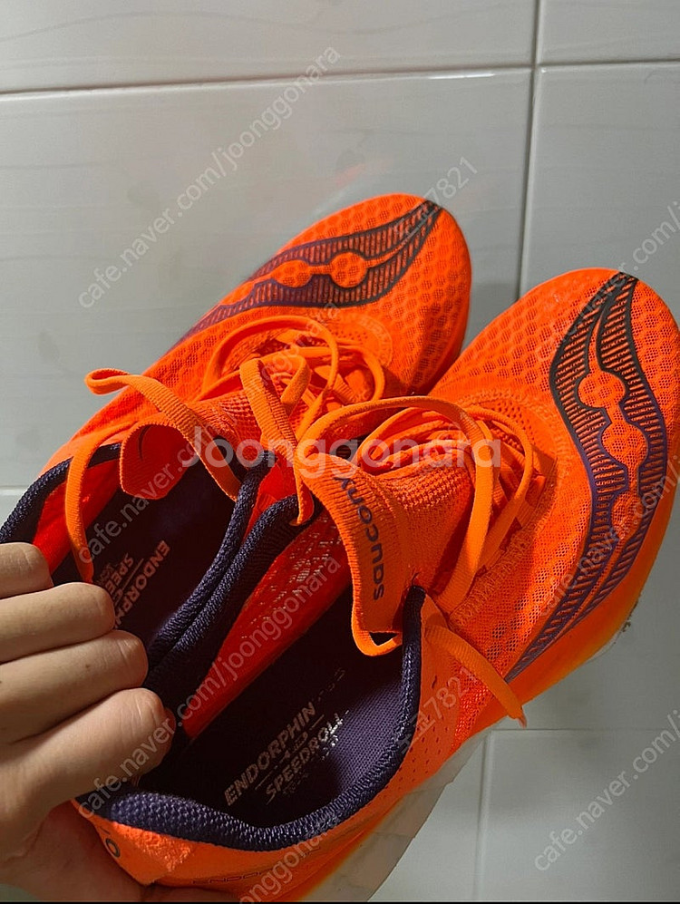 275 써코니 엔돌핀 프로4 급처--0