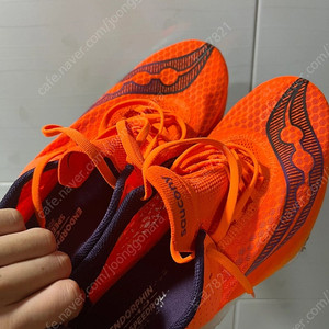 275 써코니 엔돌핀 프로4 급처