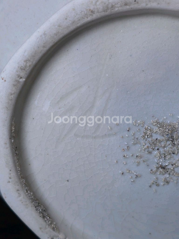 [최상급] 도암 지순탁(지순택) 백자청화죽문각병 도자기--9