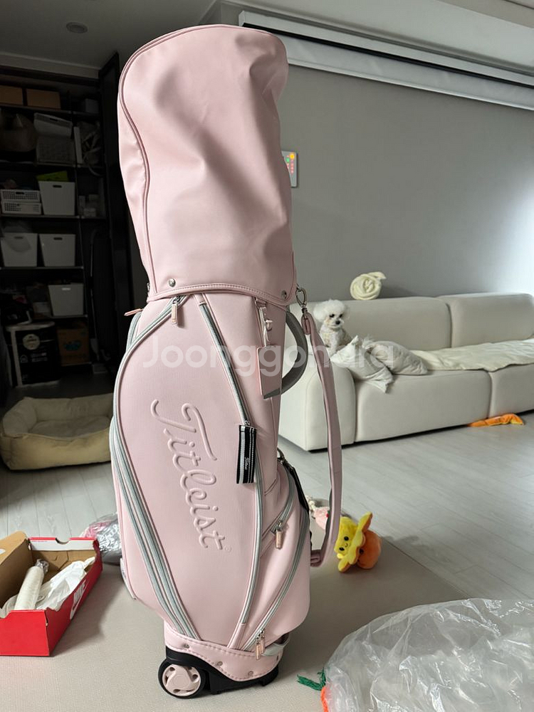 타이틀리스트 골프백+야마하 골프채--1