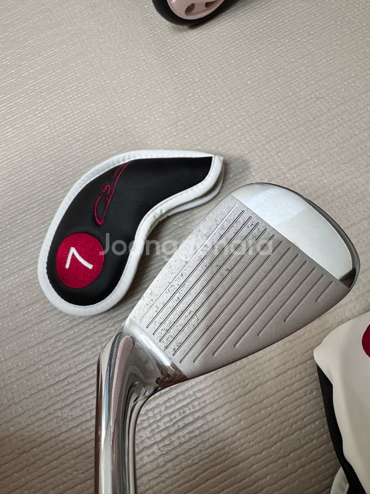 타이틀리스트 골프백+야마하 골프채--8