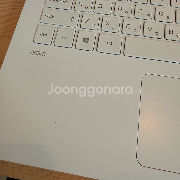 LG GRAM 2020--5