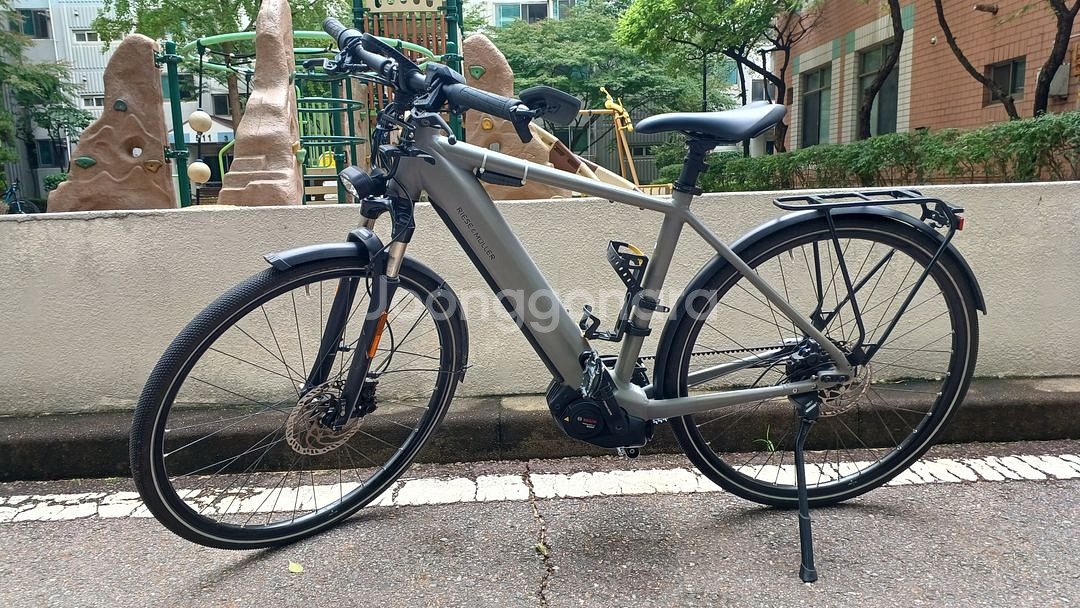 리즈앤뮐러 ROADSTER 바리오 버전 전기자전거 판매--0