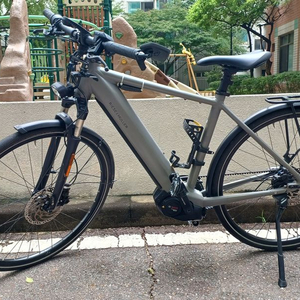 리즈앤뮐러 ROADSTER 바리오 버전 전기자전거 판매