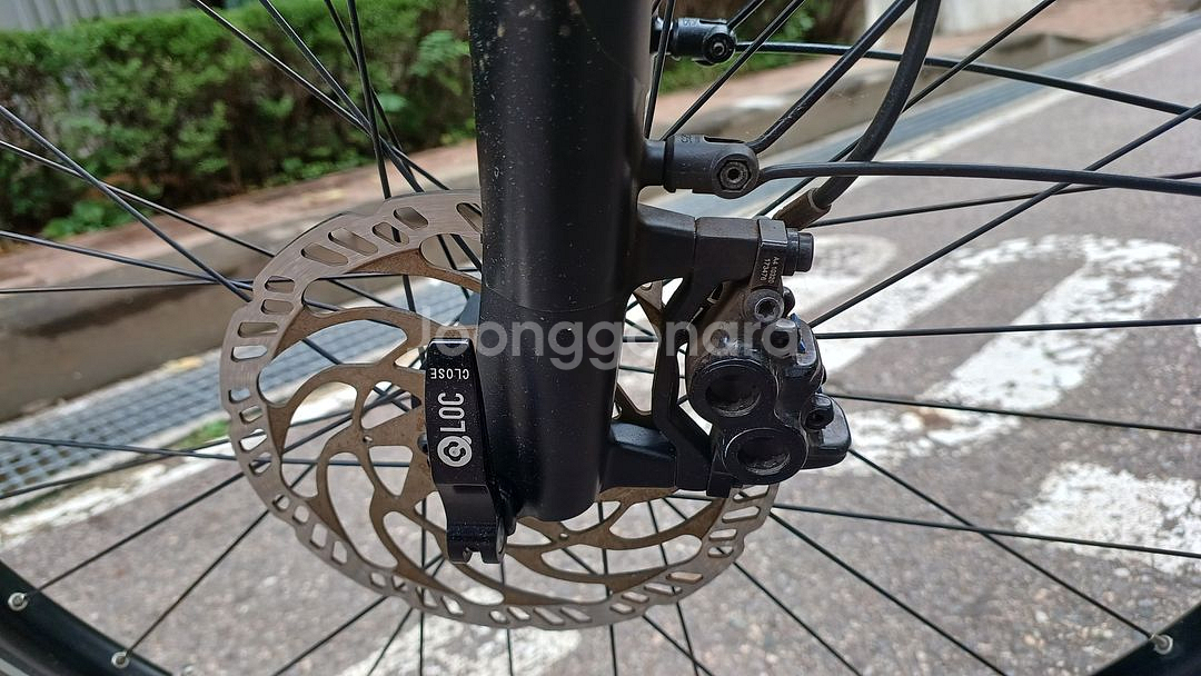 리즈앤뮐러 ROADSTER 바리오 버전 전기자전거 판매--3