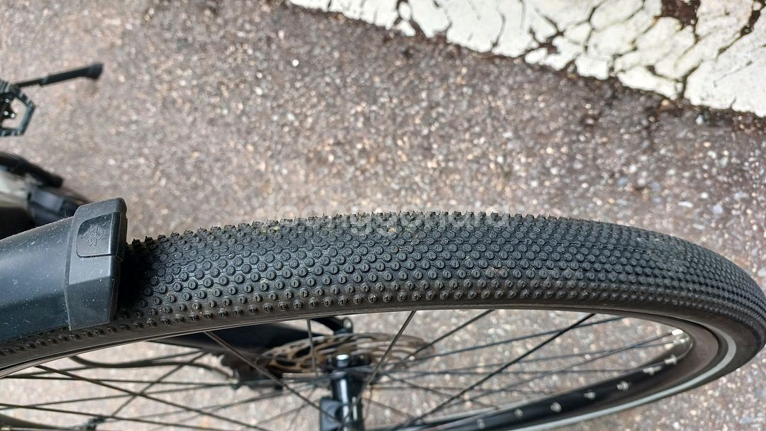 리즈앤뮐러 ROADSTER 바리오 버전 전기자전거 판매--4