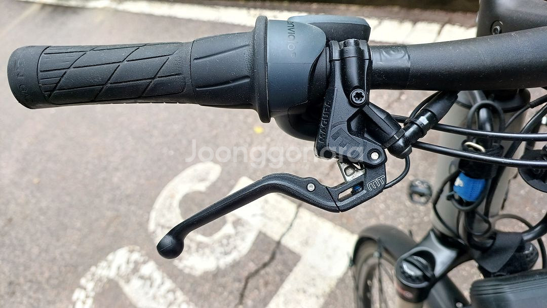 리즈앤뮐러 ROADSTER 바리오 버전 전기자전거 판매--2