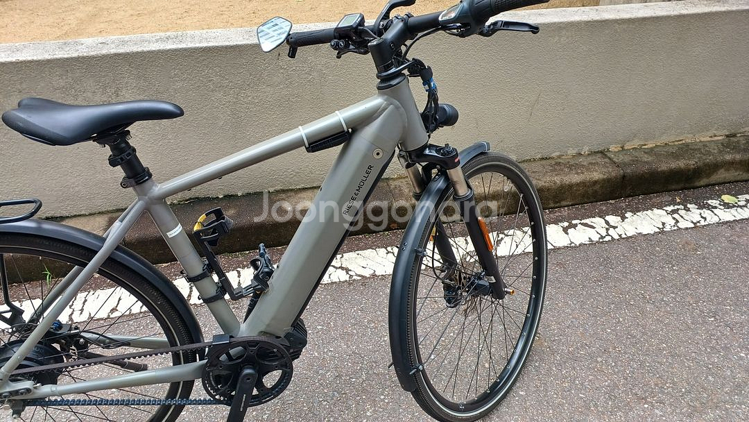 리즈앤뮐러 ROADSTER 바리오 버전 전기자전거 판매--9