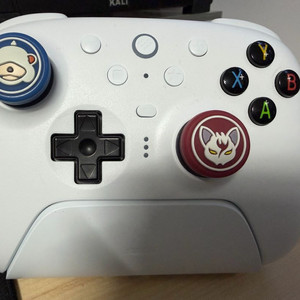 8bitdo ultimate 2 팔얼2