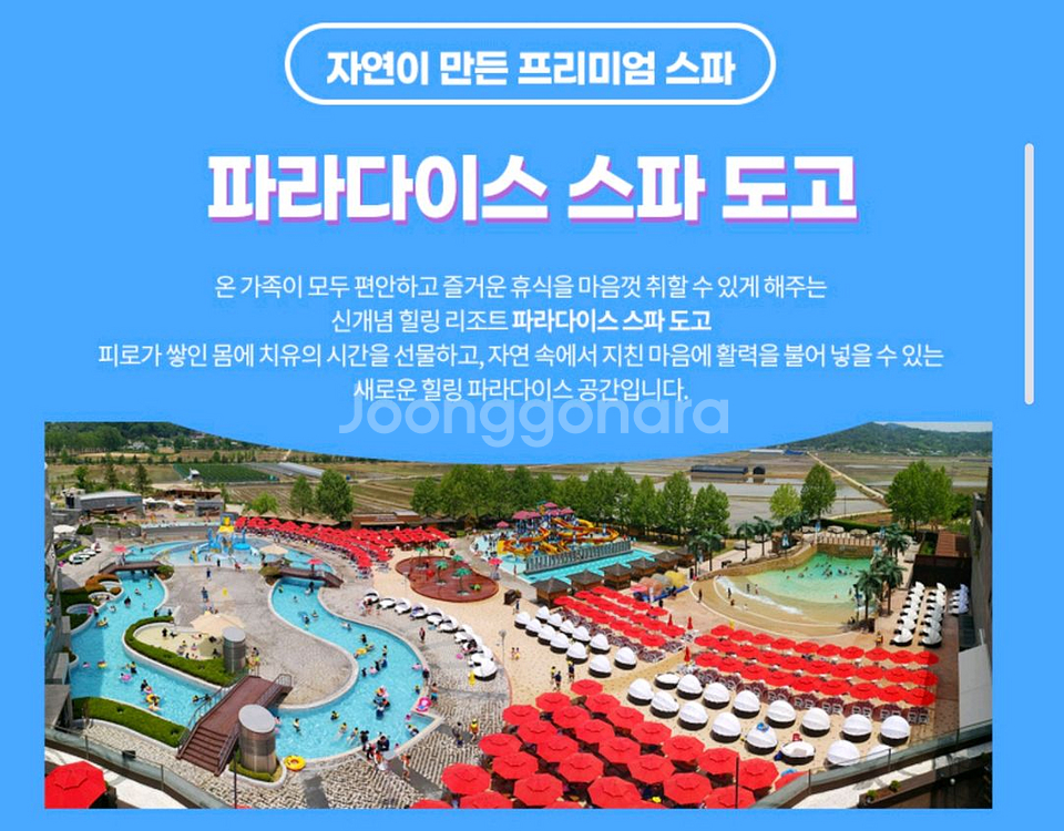 아산 도고파라다이스 종일권--0