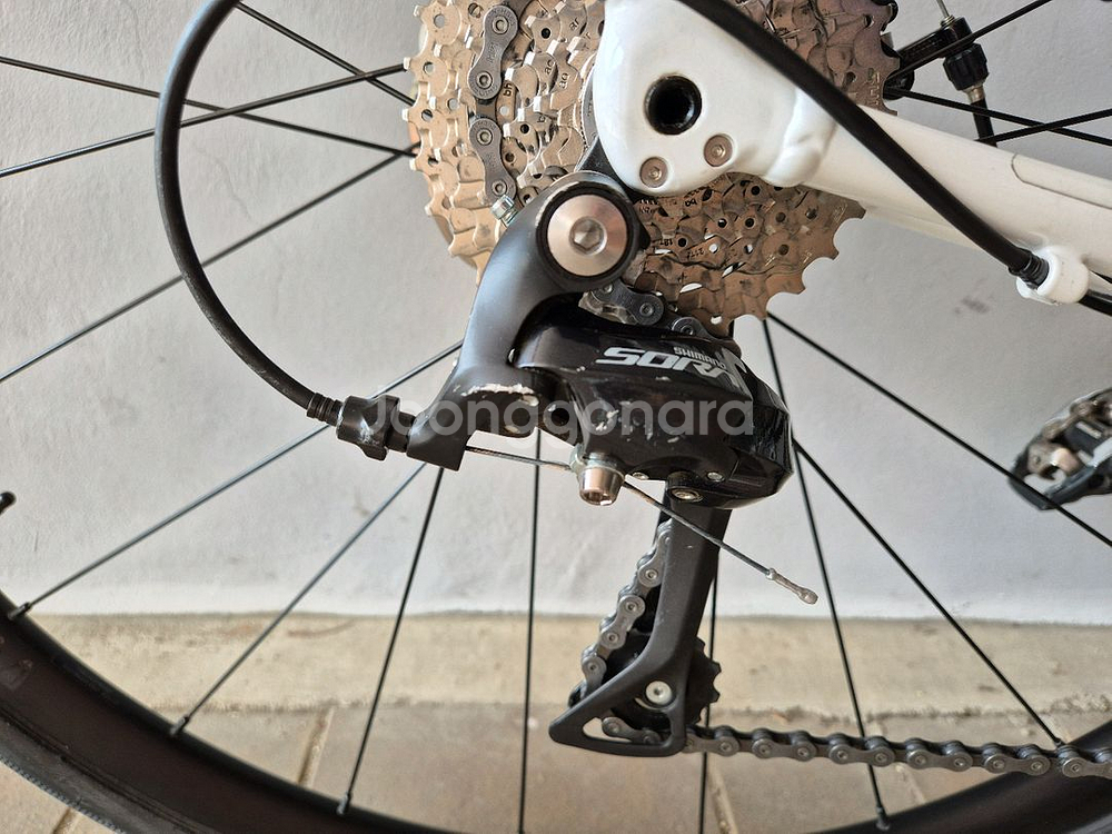 트렉 도마니 AL3 2022년 로드 자전거--9