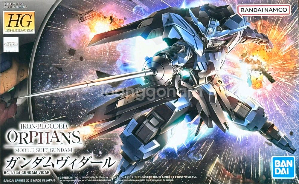 반다이 건담 프라모델 Hg 비다르--0