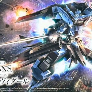 반다이 건담 프라모델 Hg 비다르