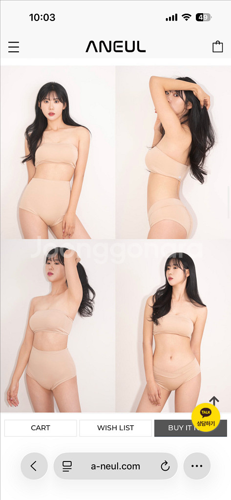 [아늘폴웨어] 아늘 폴웨어 뮤즈 베이지 s사이트 세트--0