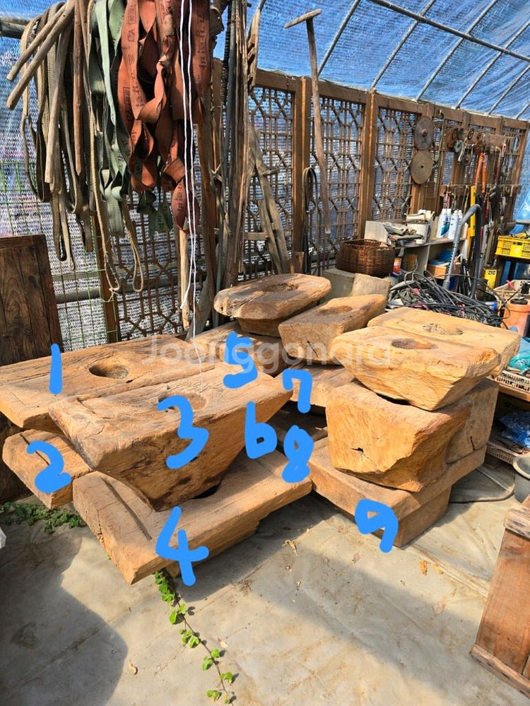 괴목절구 15개--7