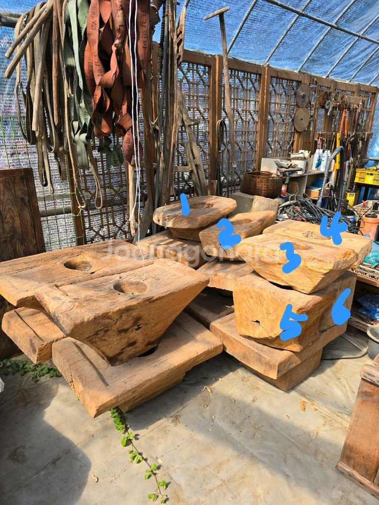 괴목절구 15개--6